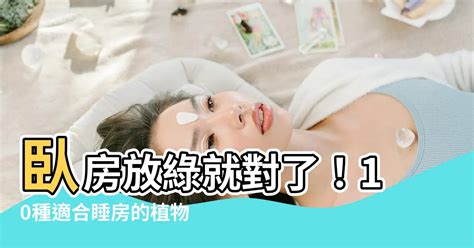 适合睡房的植物|8種提升睡眠質素的人氣室內植物